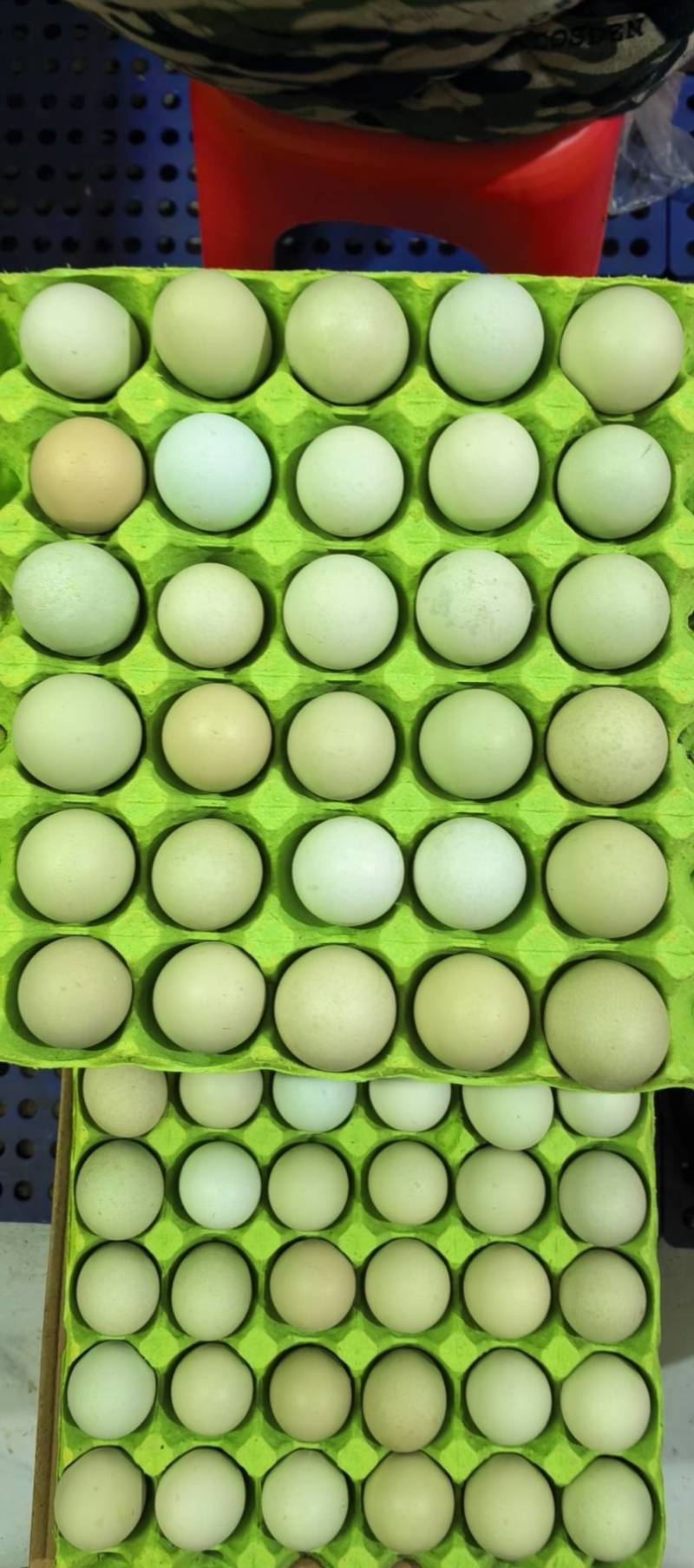 300*600
