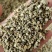 荷叶茶精选荷叶颗粒干净整洁批发零售