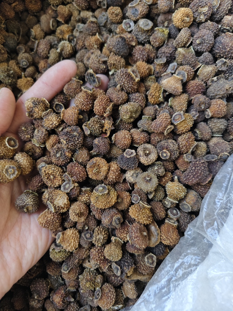 刺梨干精选优质刺梨干批发零售