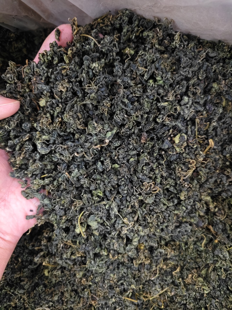 绞股蓝精选优质绞股蓝叶批发零售
