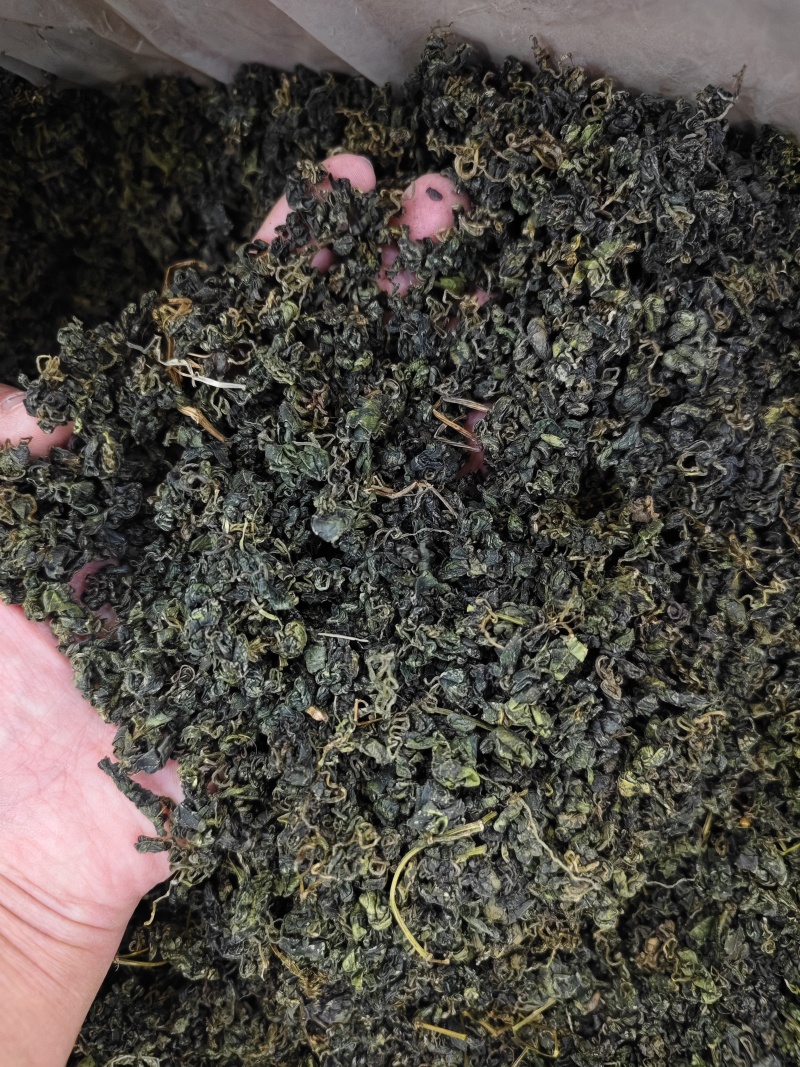 绞股蓝精选优质绞股蓝叶批发零售