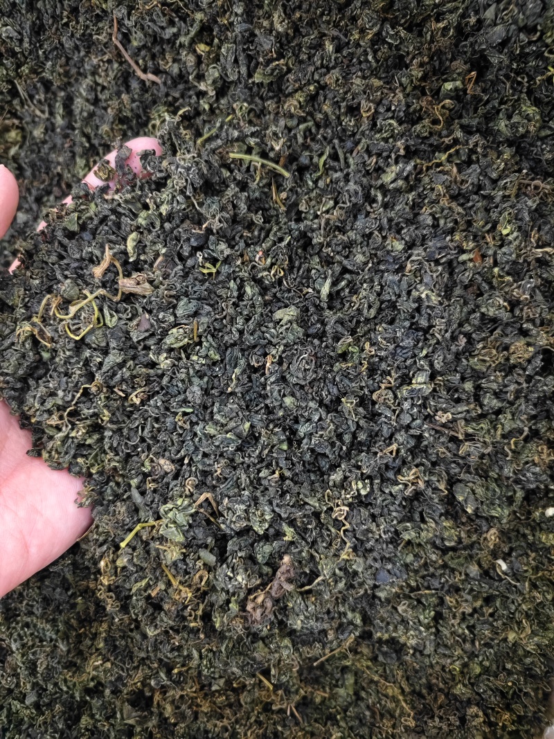 绞股蓝精选优质绞股蓝叶批发零售