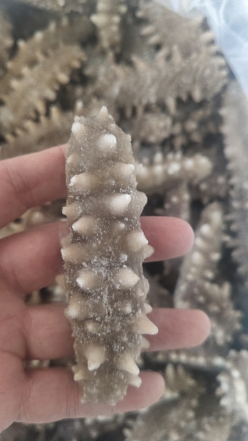 即食海参，0冰衣，好口感，规格20-30/30-40
