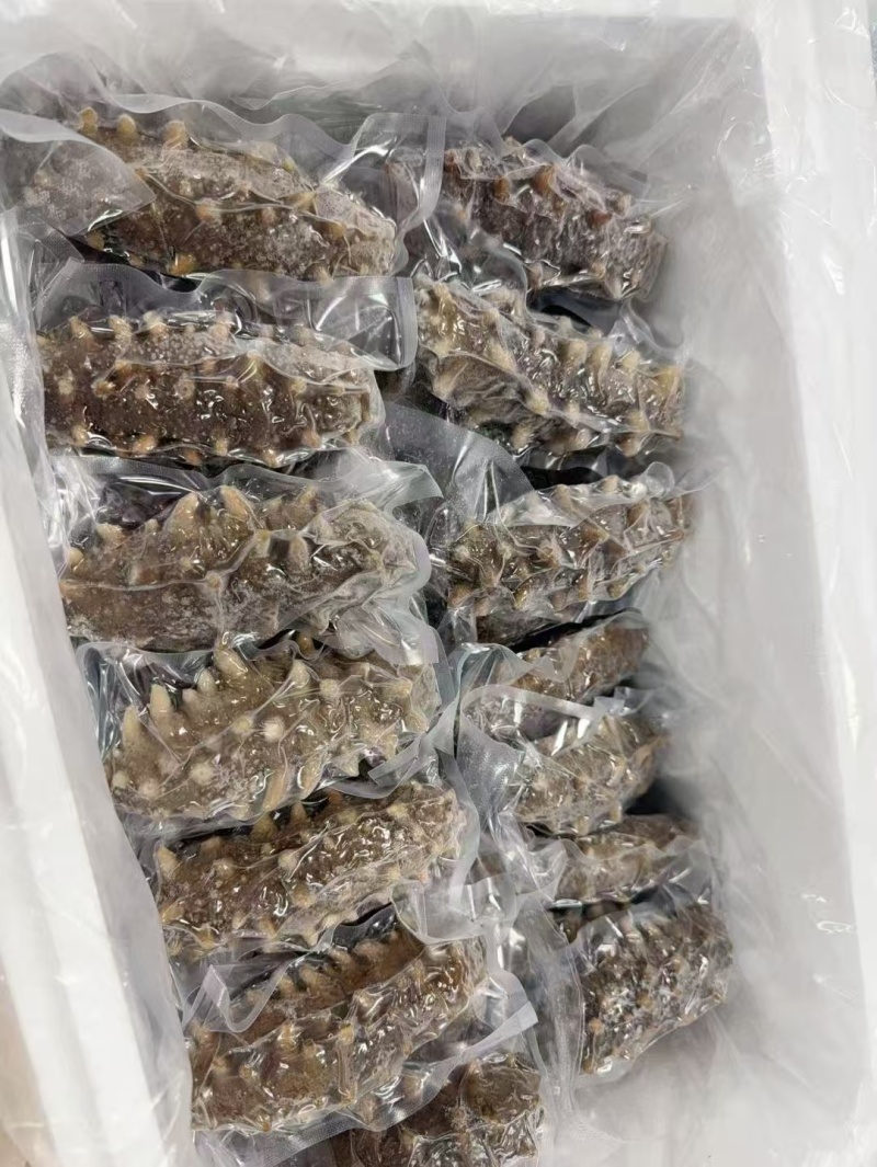 鲜食海参裸货，独立真空，0添加，规格齐全，可定制，可代工