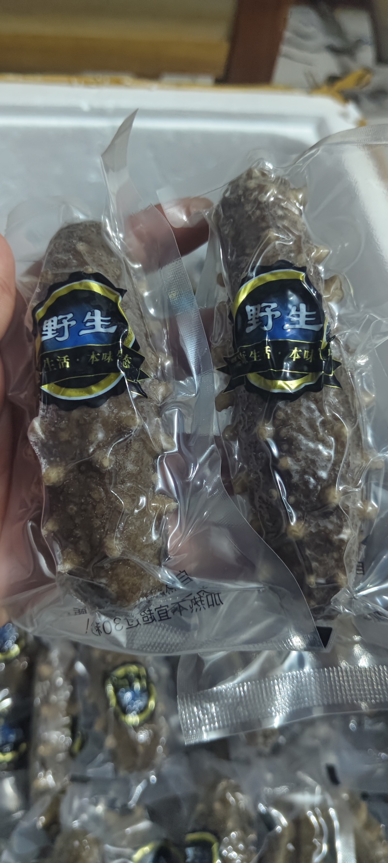 鲜食海参裸货，独立真空，0添加，规格齐全，可定制，可代工
