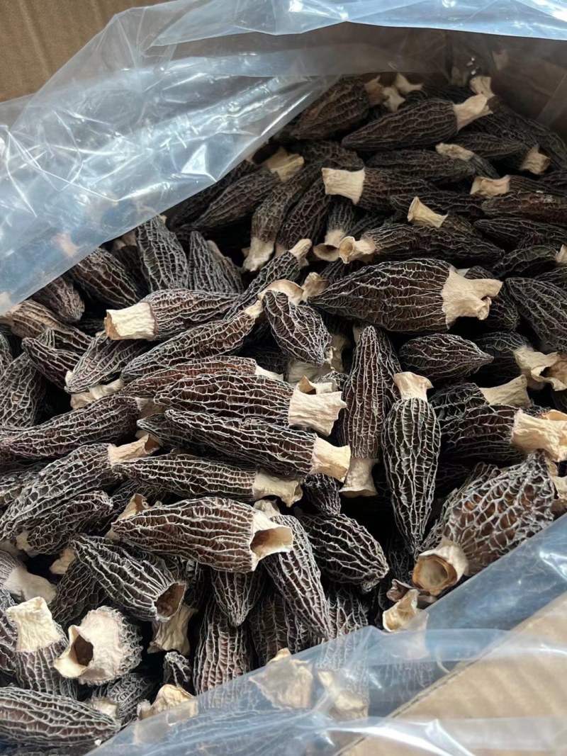 湖北来凤羊肚菌干货特级人工精选无硫熏批发