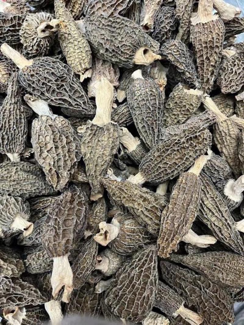 湖北来凤羊肚菌干货特级人工精选无硫熏批发