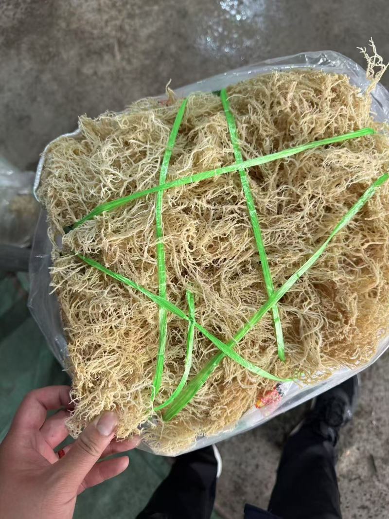 龙须菜，清水，微盐，潮菜，粗条，细条规格齐全保品质包售后