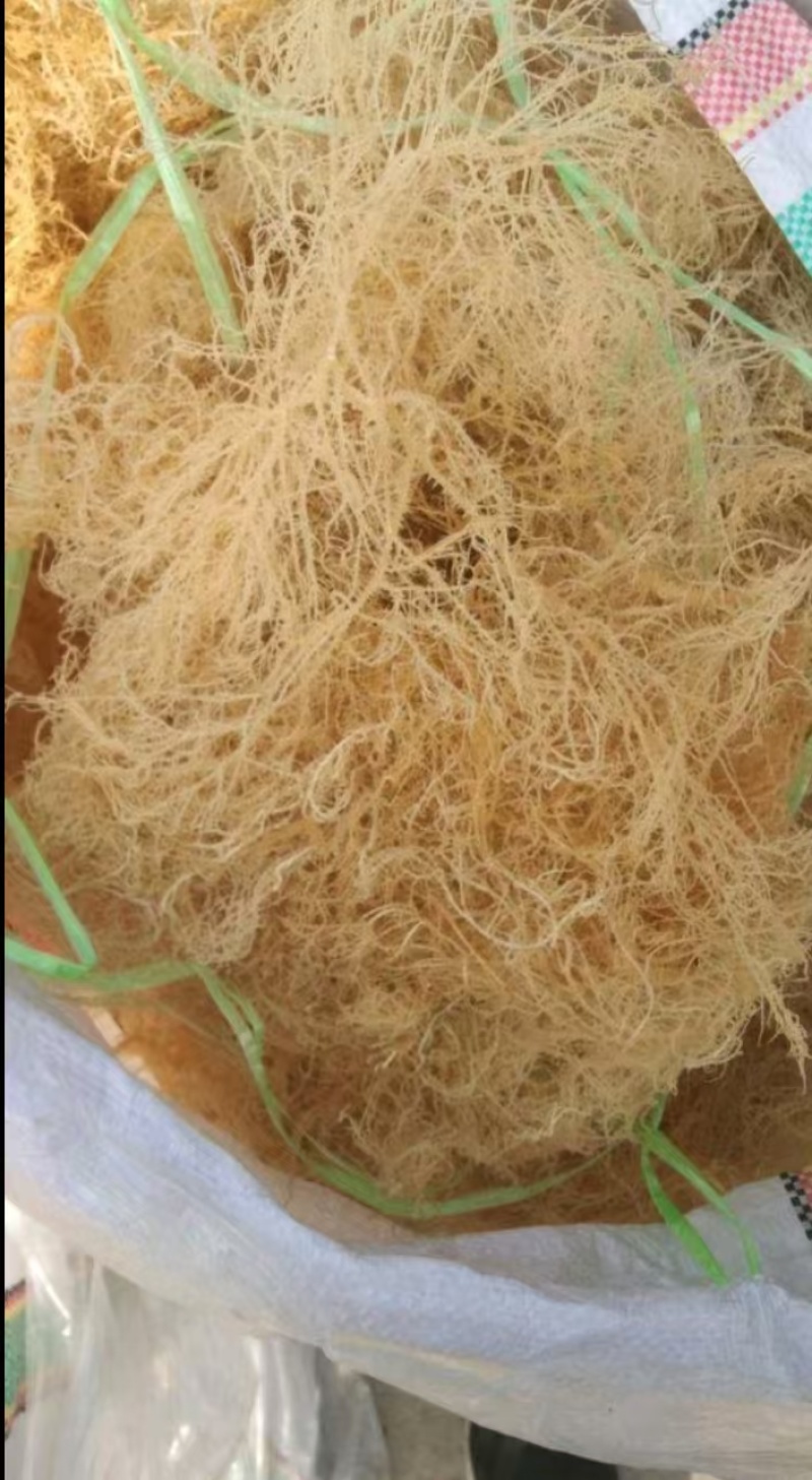 龙须菜，清水，微盐，潮菜，粗条，细条规格齐全保品质包售后