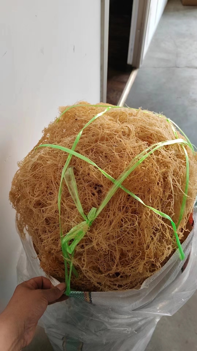 龙须菜，清水，微盐，潮菜，粗条，细条规格齐全保品质包售后