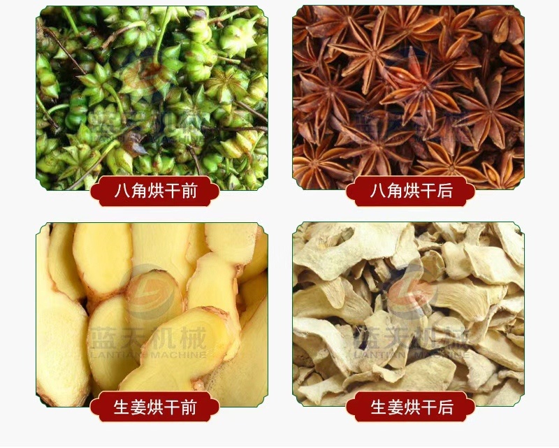 花椒烘干机带枝花椒烘干设备青花椒麻椒筛选烘干生产线