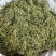 伸筋草青绿伸筋草