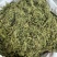 伸筋草青绿伸筋草