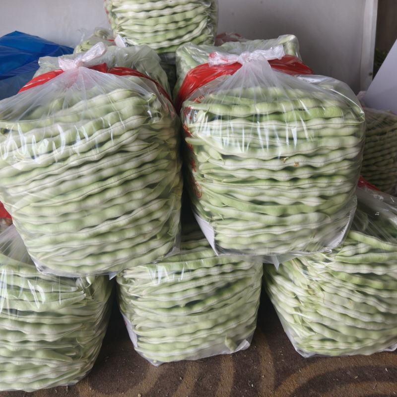 精品白不老芸豆