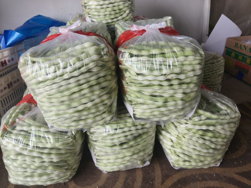 精品白不老芸豆