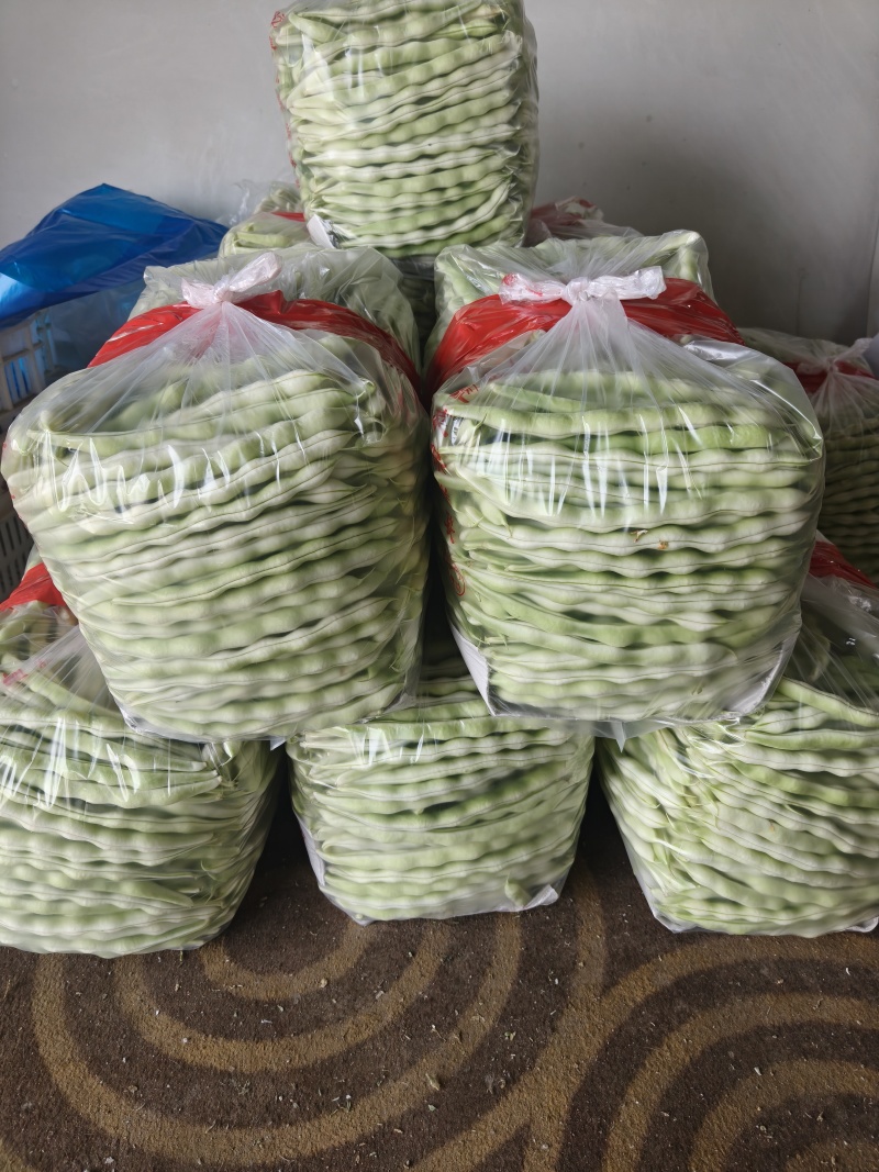 精品白不老芸豆