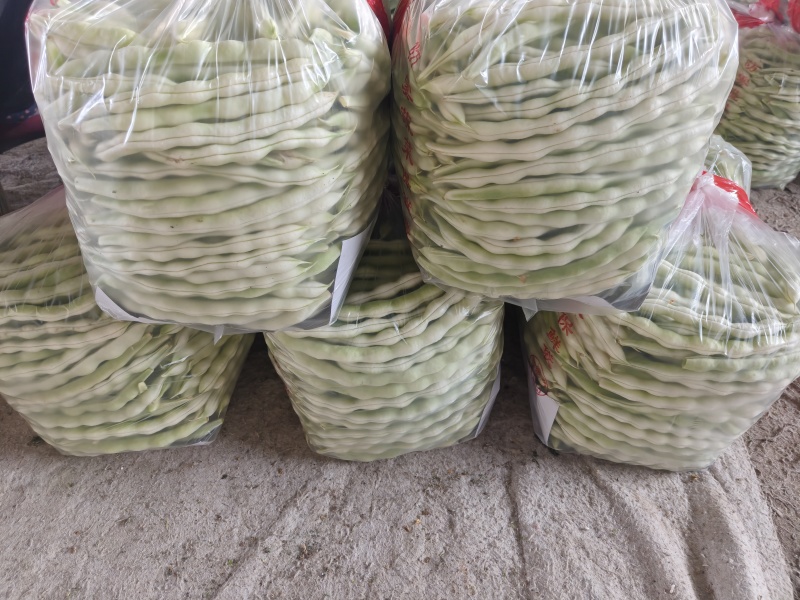 精品白不老芸豆