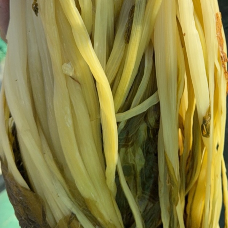泡豆浆，泡高杆白菜