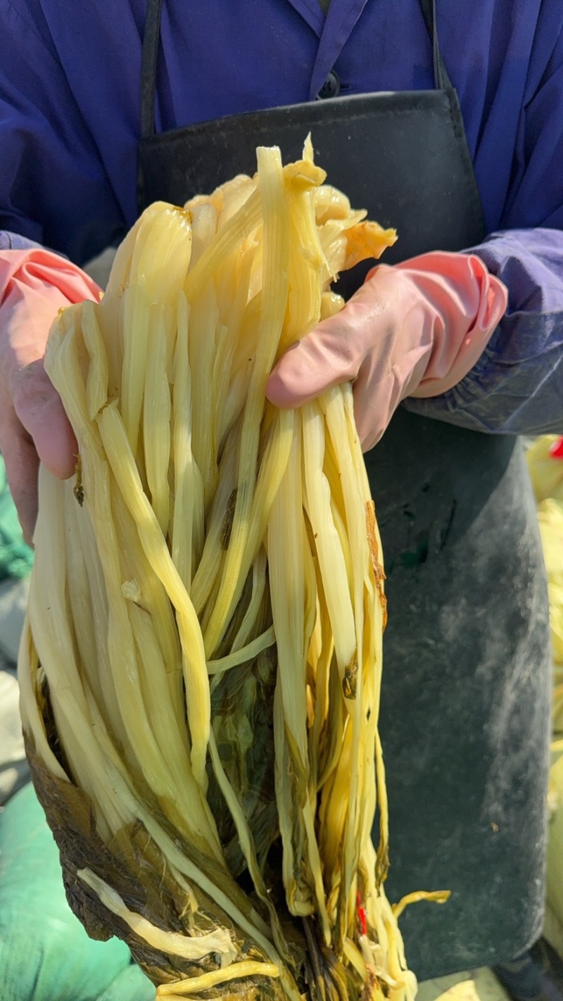 泡豆浆，泡高杆白菜