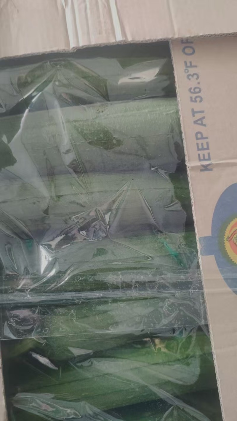 精品丝瓜