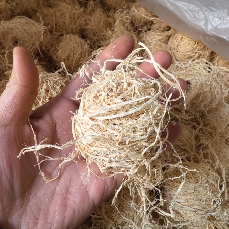 淡竹茹团球状竹茹球黄白色统货今年新货颜色好