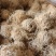 淡竹茹团球状竹茹球黄白色统货今年新货颜色好