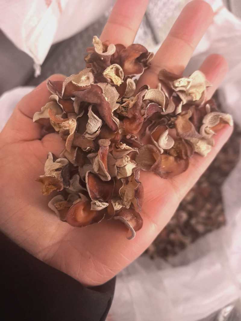 粉木耳批发源头供货商超电商