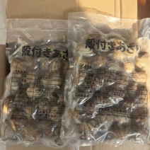 出口花甲一袋500g自家工厂便宜处理，量大价优。欢迎咨询