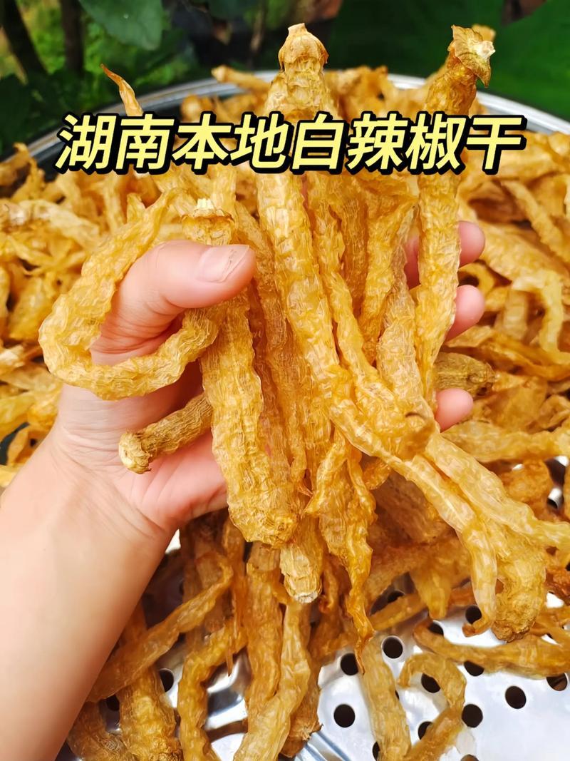 白辣椒无盐水煮