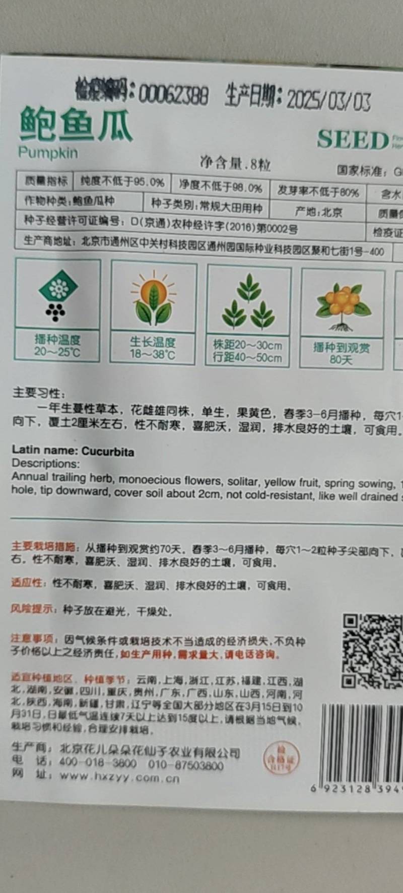 观赏南瓜种子～鲍鱼瓜玩具南瓜种子品种齐全，观光园林用种