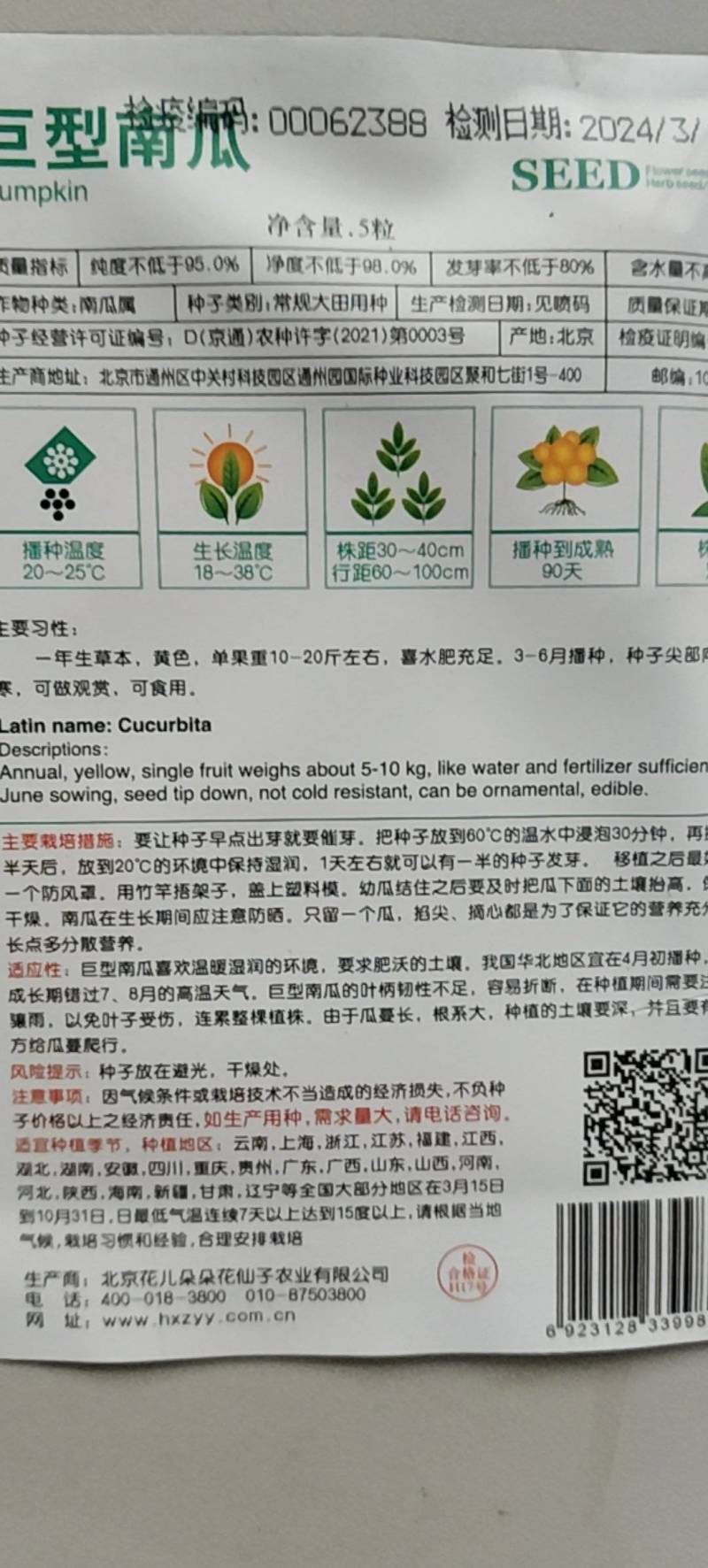 特大南瓜种子玩具南瓜一个能长到一两百斤的南瓜种子品种