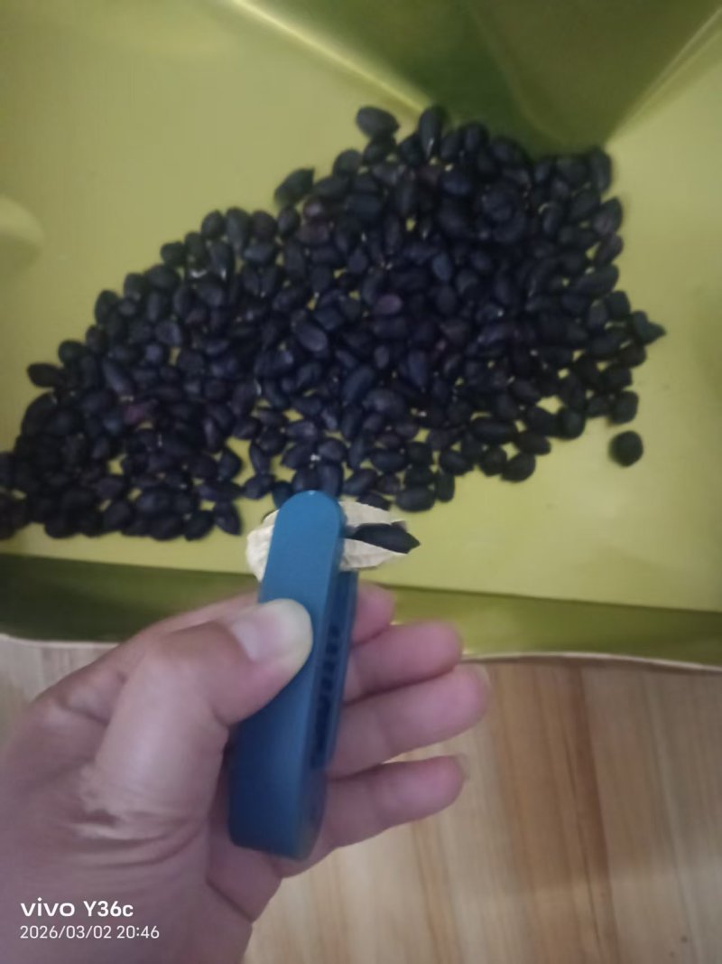 新货上市云南富硒黑花生精选花生品质保障欢迎咨询下单
