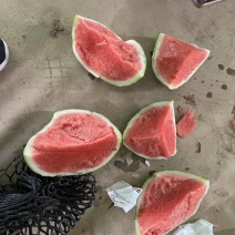 西双版纳麒麟无籽西瓜