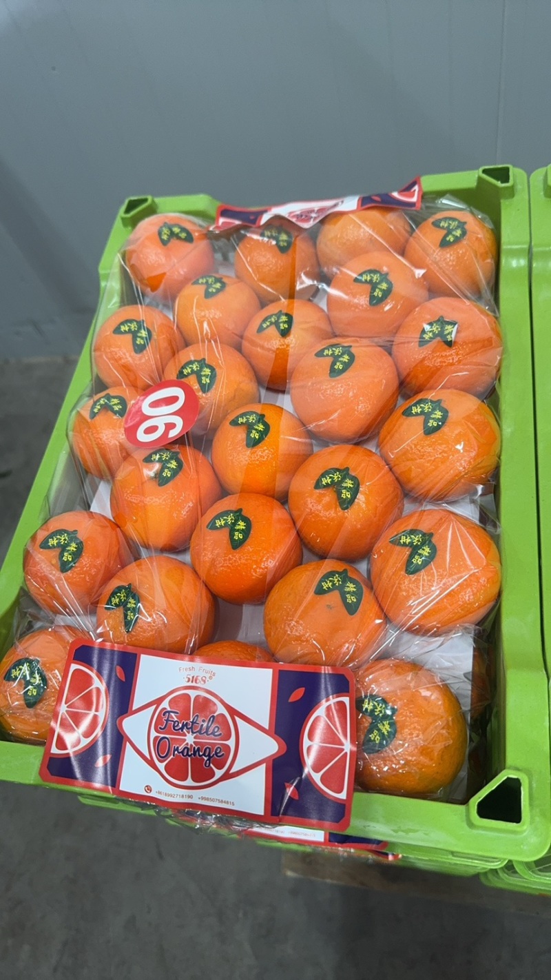 【精选】沃柑基地直采产地直供可视频看货全国发货