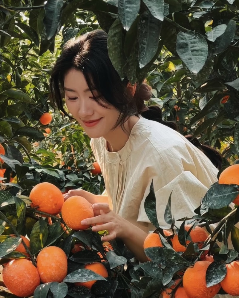 【精选】沃柑基地直采产地直供可视频看货全国发货