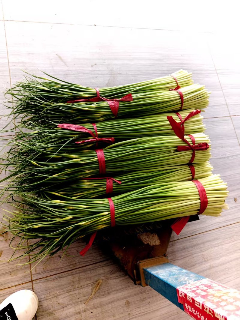 河南**上市白帽蒜薹