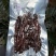 香茅草猪干巴