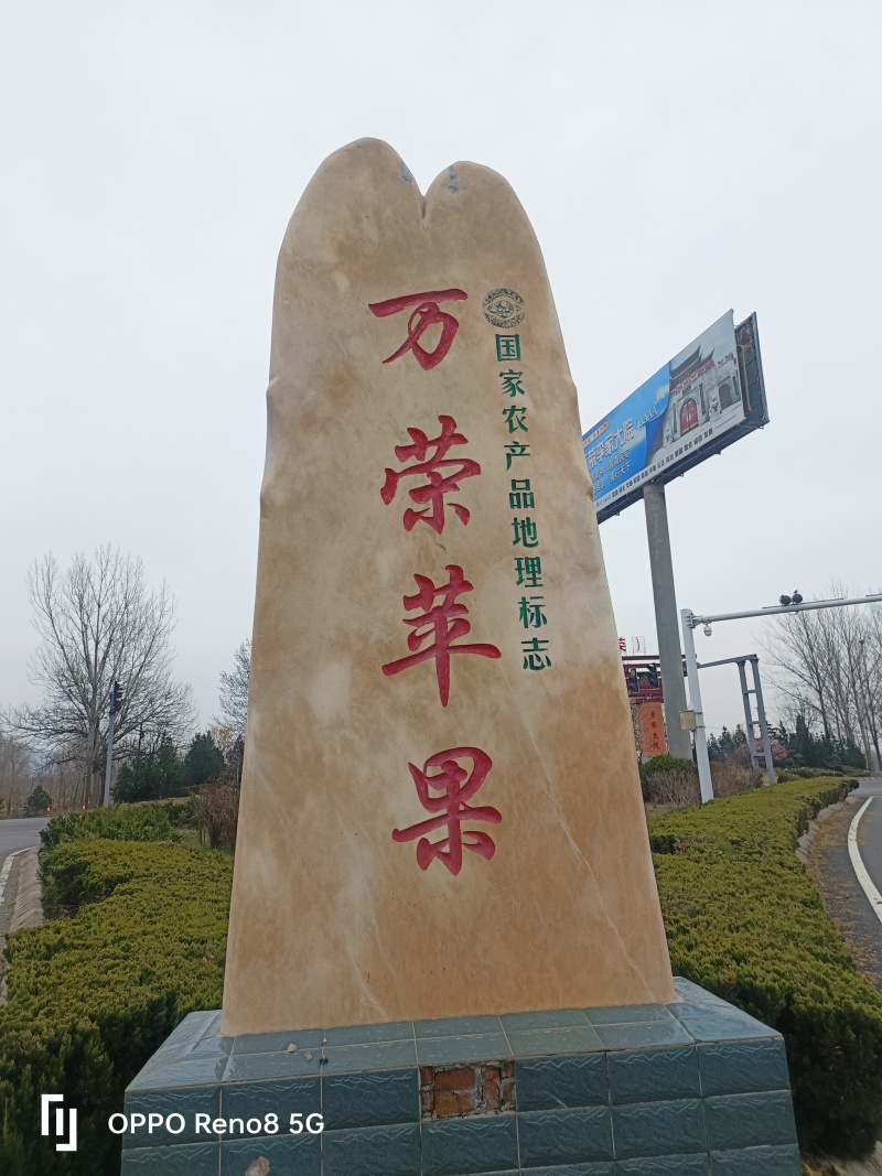 纸袋富士个大、色红、耐运输，货价期长，甜度大。