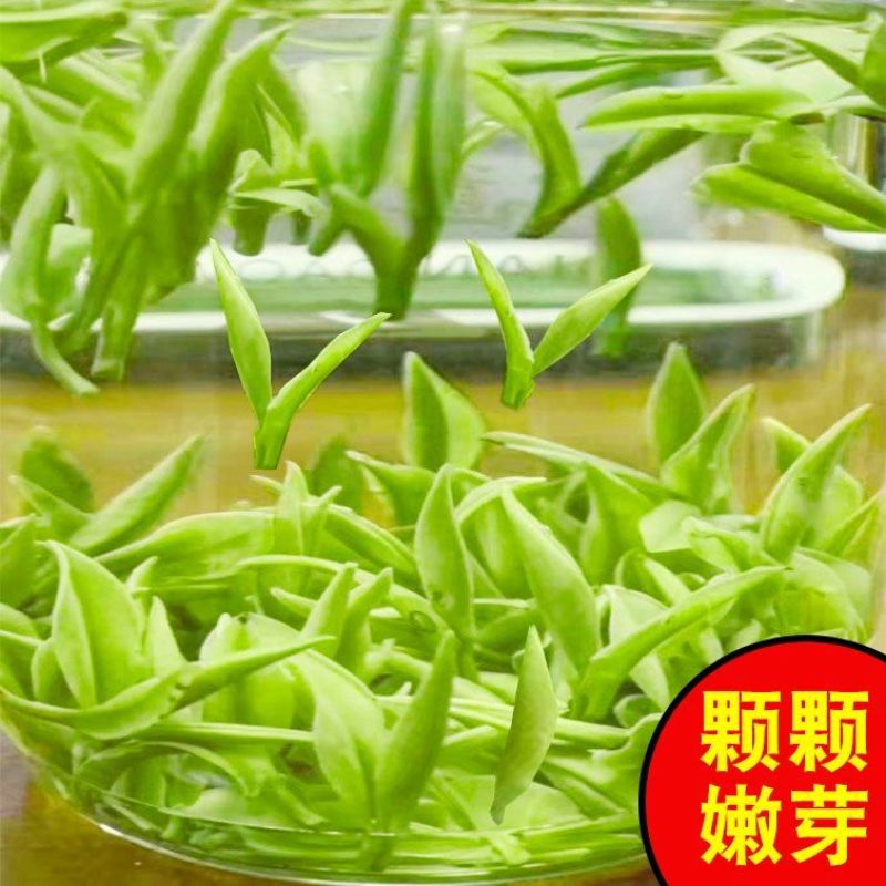 贵州黄金牙