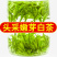 贵州黄金牙