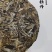 福鼎白茶