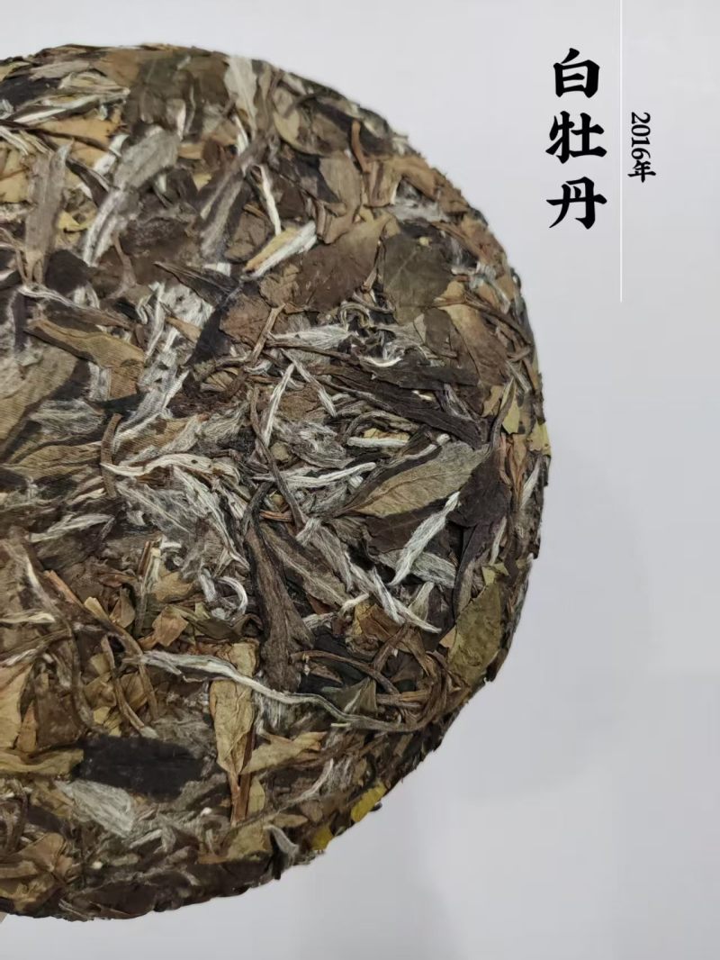 福鼎白茶