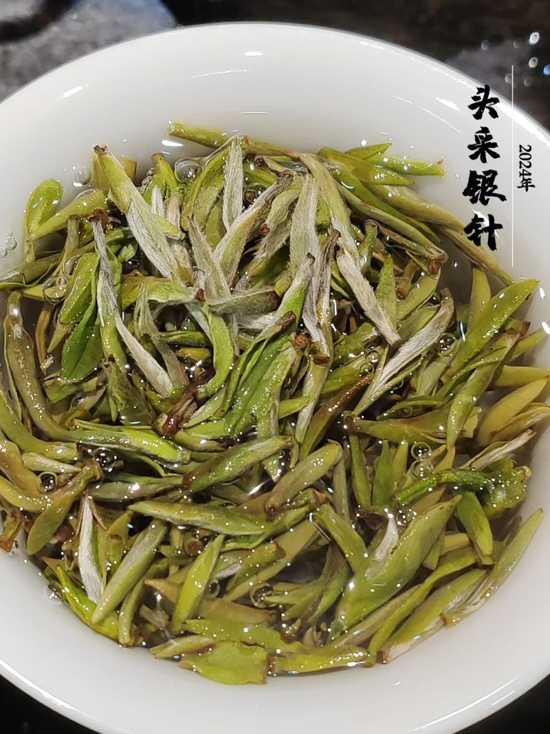 福鼎白茶