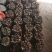 泡桐树根。兰考泡桐树根。速生泡桐树根。当年能长5~6公分