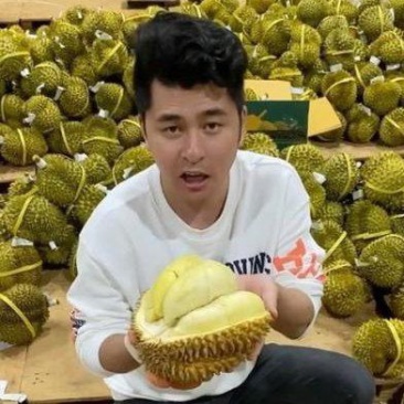 金枕榴莲一手批发价格，a果保5房，坏果包赔
