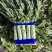 华州区红叶香莴笋1.5斤起步开始上市支持视频看货欢迎咨询