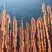 恩施高山腊肠