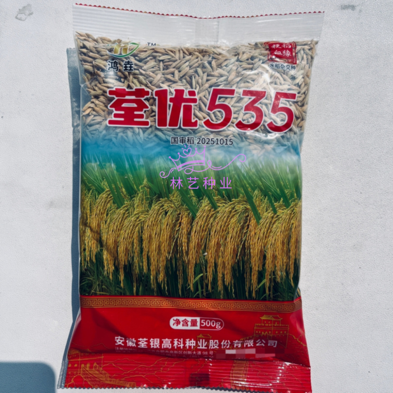 荃优535稻优质杂交水稻种子茎秆粗壮不倒伏米质优农户大田
