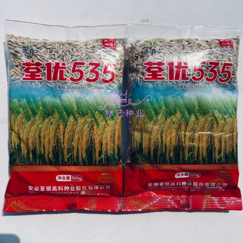 荃优535稻优质杂交水稻种子茎秆粗壮不倒伏米质优农户大田