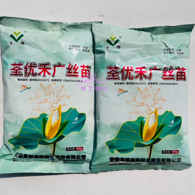 荃优禾广丝苗杂交水稻种子高产抗病国审稻谷种籽孑长粒三系杂